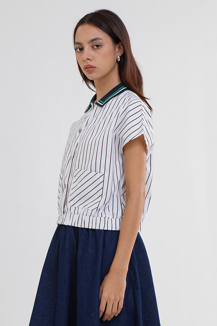 Black Striped Merel