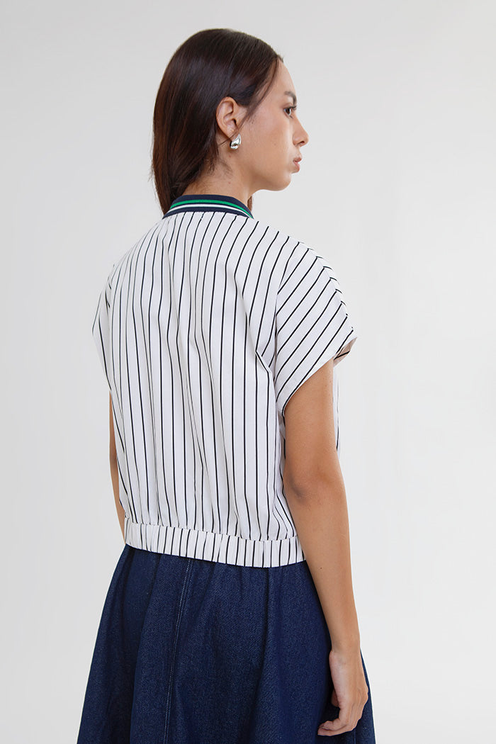 Black Striped Merel