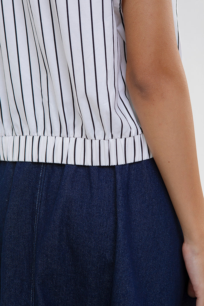 Black Striped Merel