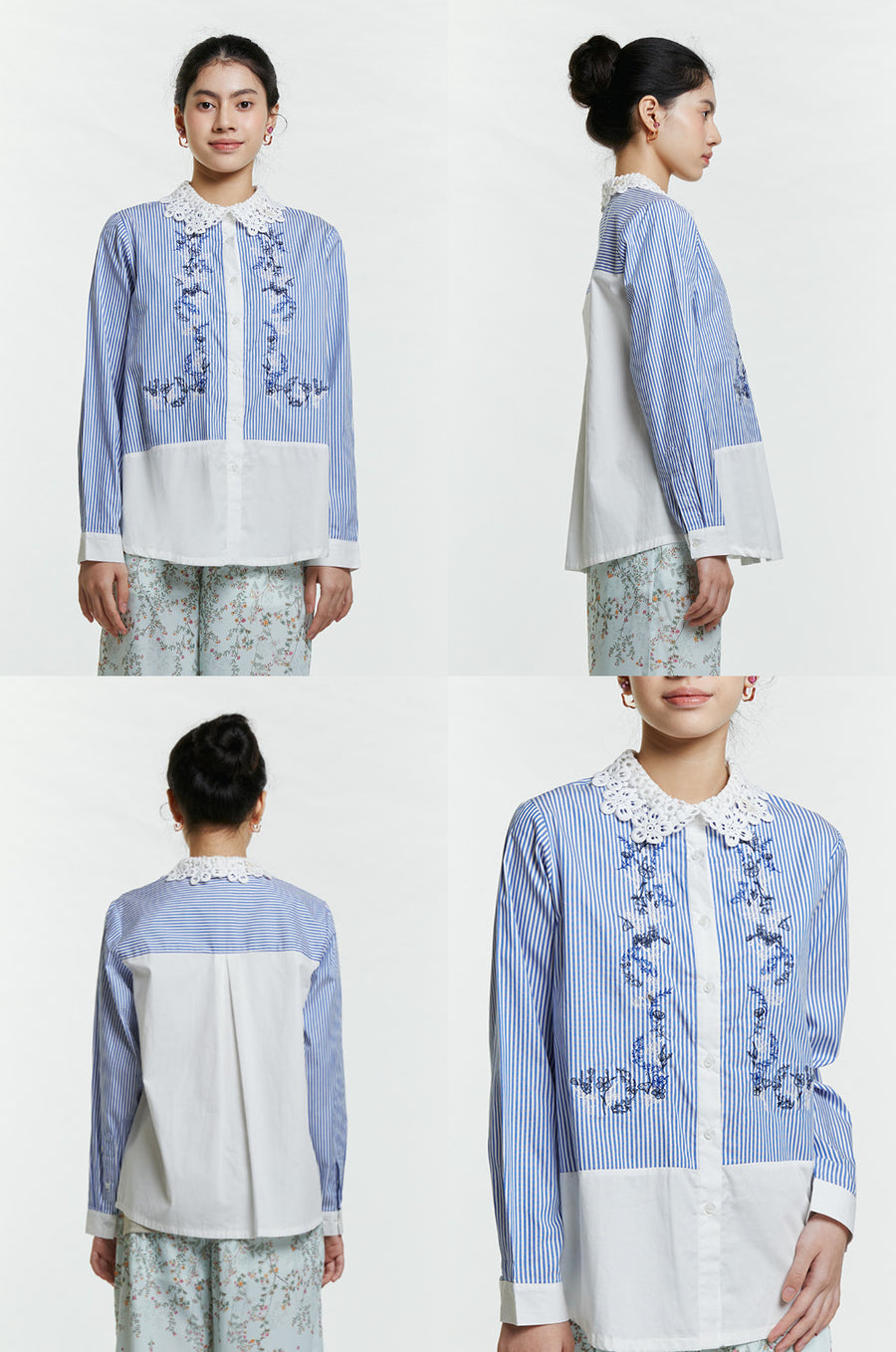 Blue Striped Arar