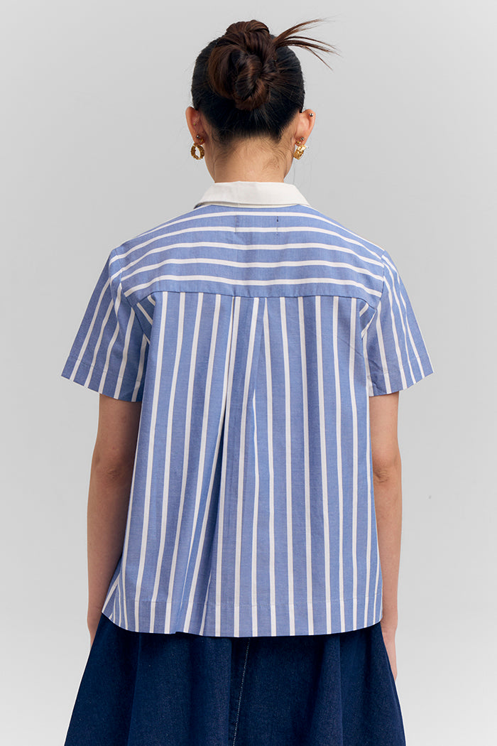 Blue Striped Clemente
