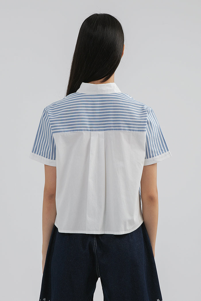 Blue Striped Krier