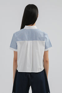 Blue Striped Krier