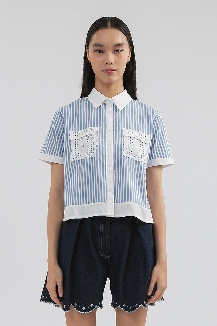 Blue Striped Krier
