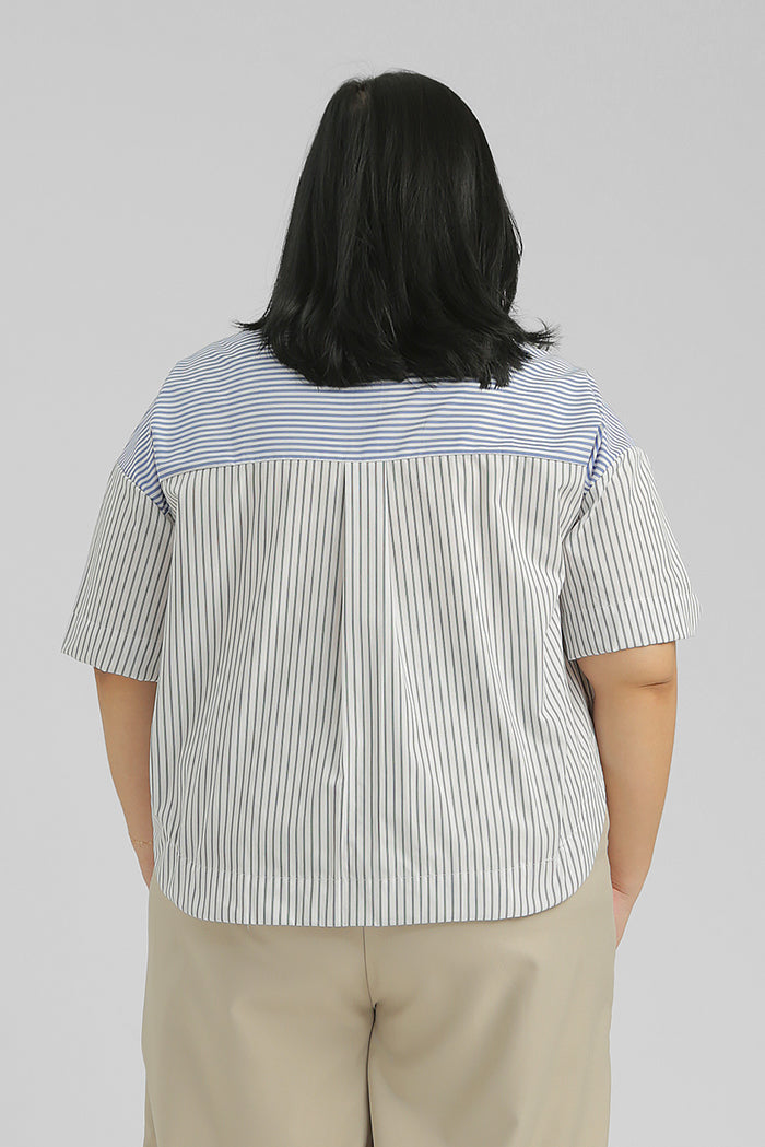Blue Striped Norbu