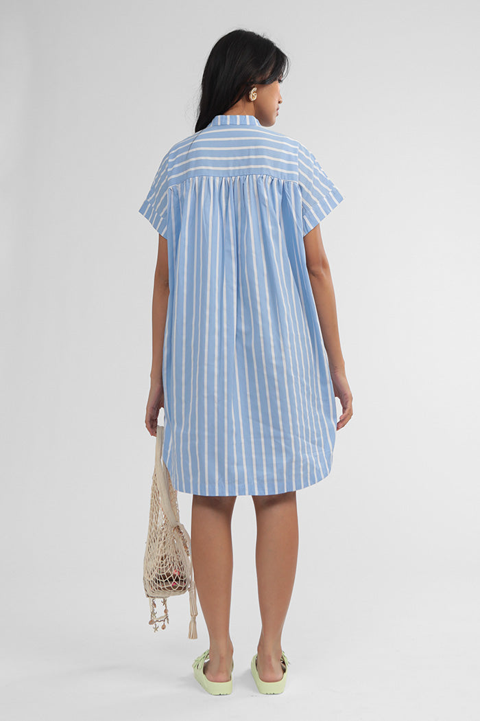Blue Striped Savoy