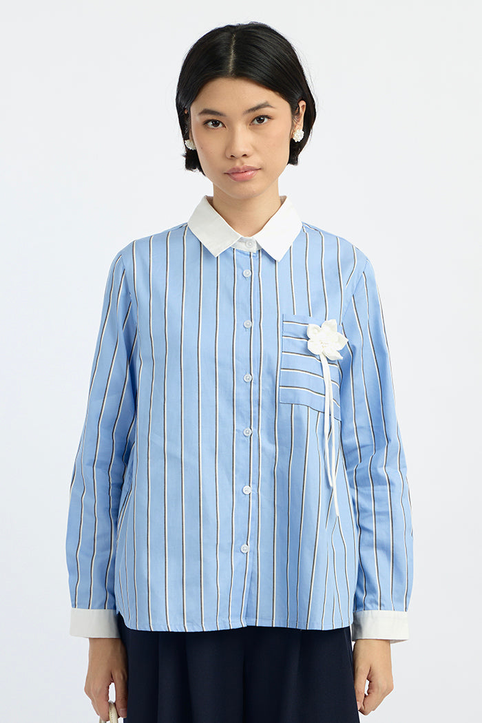 Blue Striped Tamar