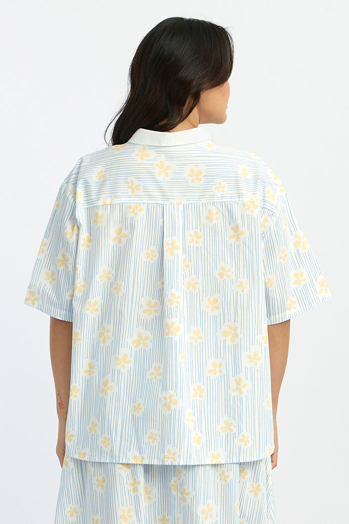Blue Daisy Fenna