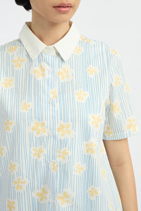 Blue Daisy Fenna