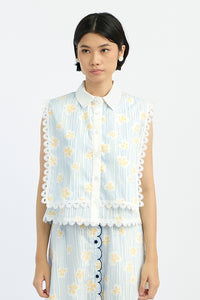 Blue Daisy Nirma