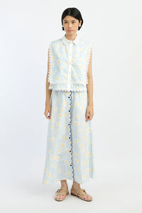 Blue Daisy Nirma
