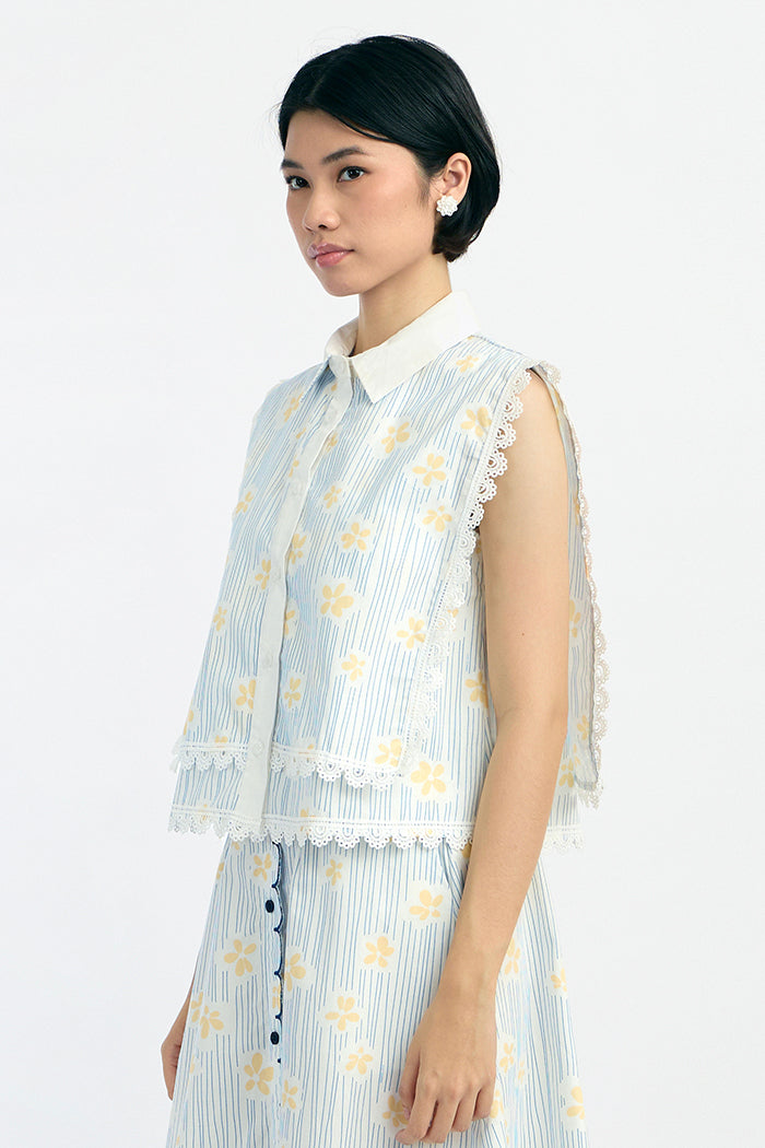 Blue Daisy Nirma