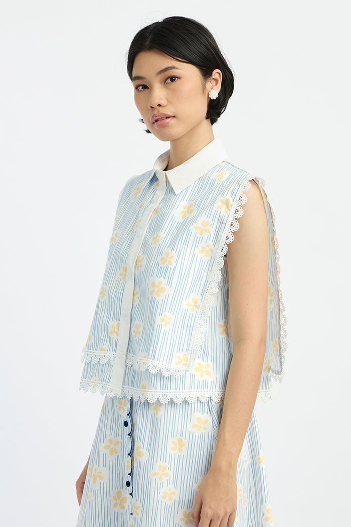 Blue Daisy Nirma