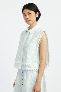 Blue Daisy Nirma