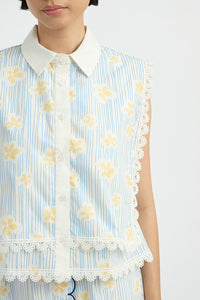 Blue Daisy Nirma