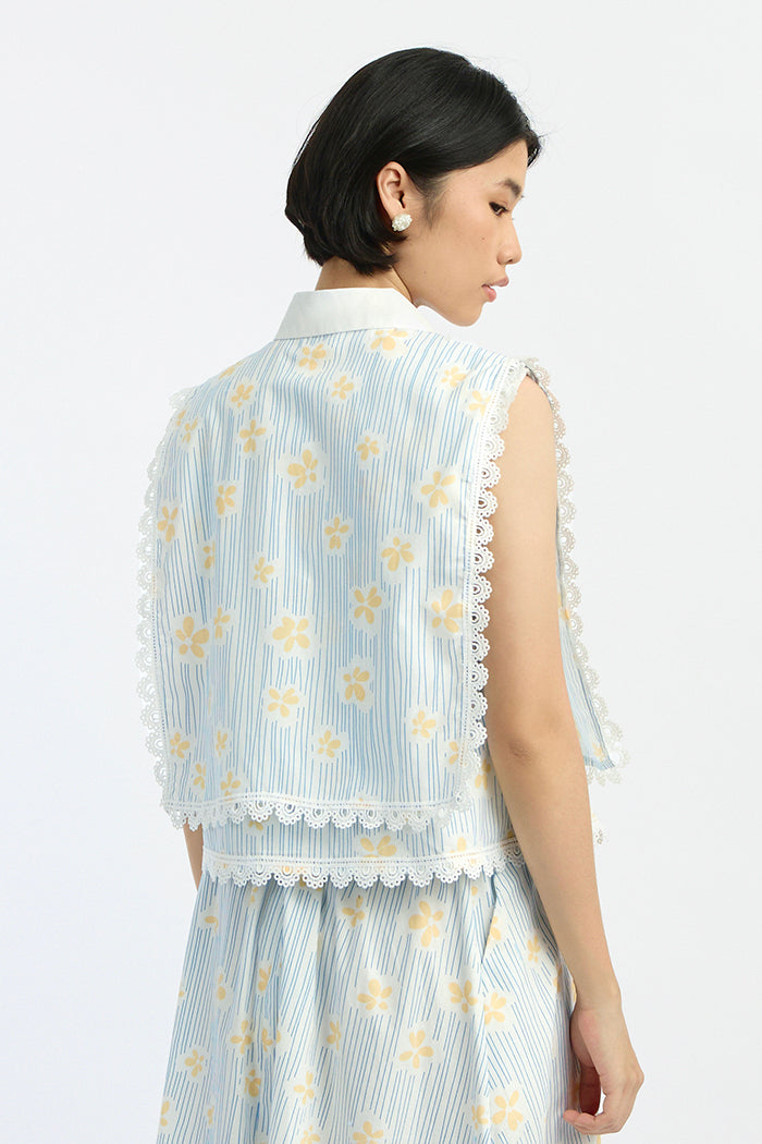 Blue Daisy Nirma