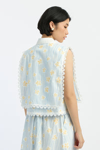 Blue Daisy Nirma