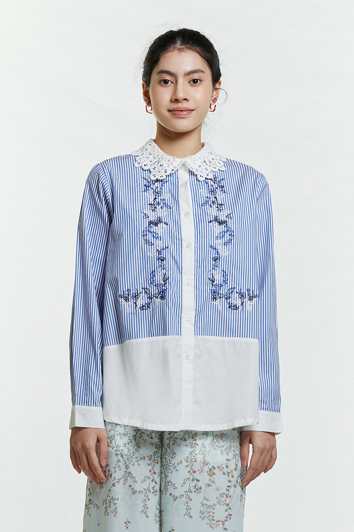Blue Striped Arar