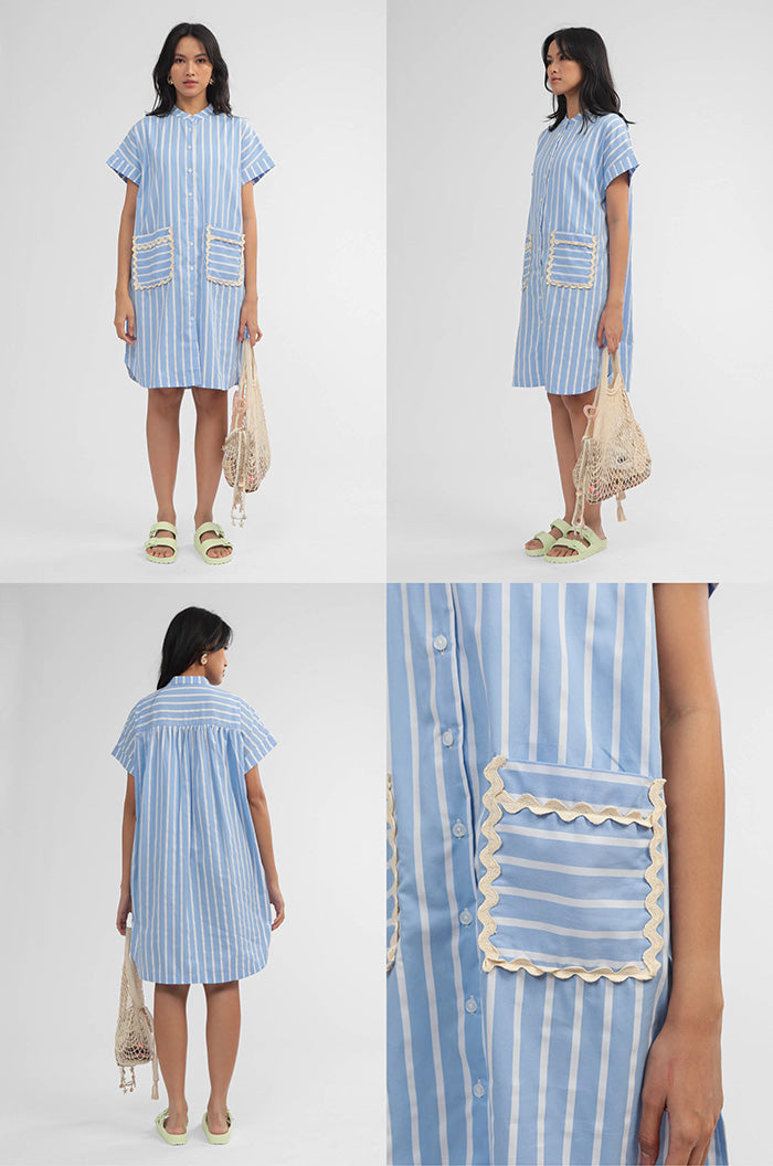 Blue Striped Savoy