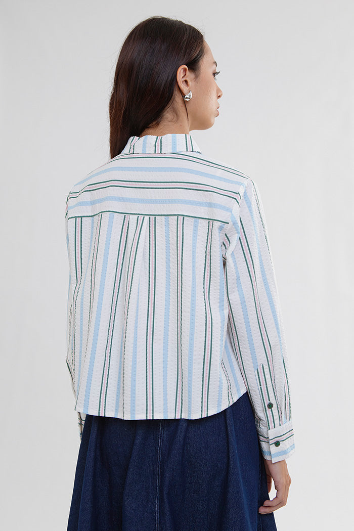 Cream Striped Fidela