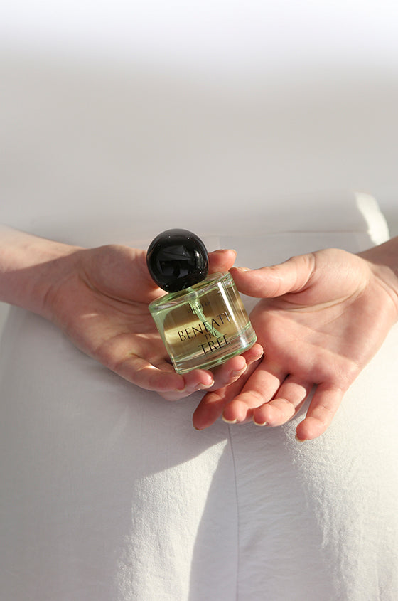 The Life Of - Beneath The Tree