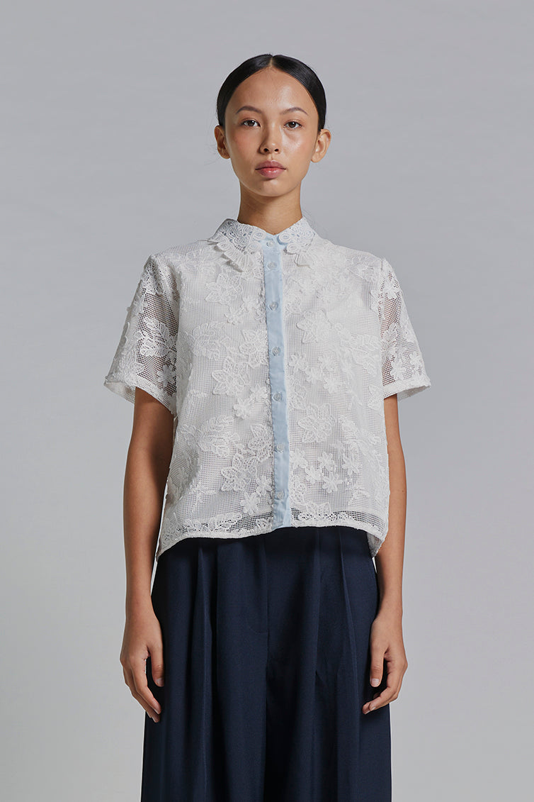 Light Blue Dalia - Defect Sale