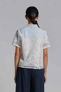 Light Blue Dalia - Defect Sale
