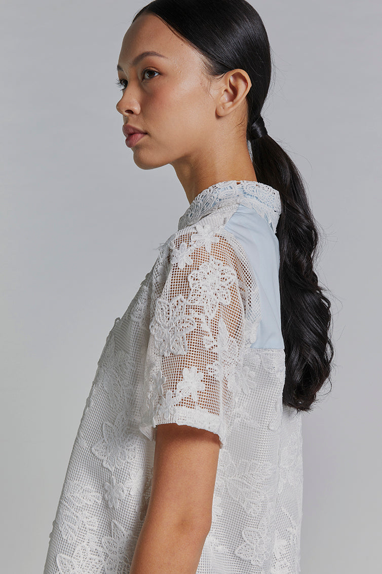 Light Blue Dalia - Defect Sale