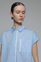 Light Blue Striped Veldt