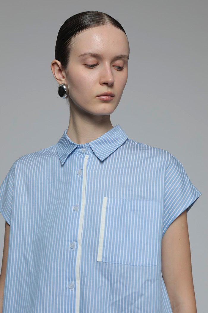 Light Blue Striped Veldt