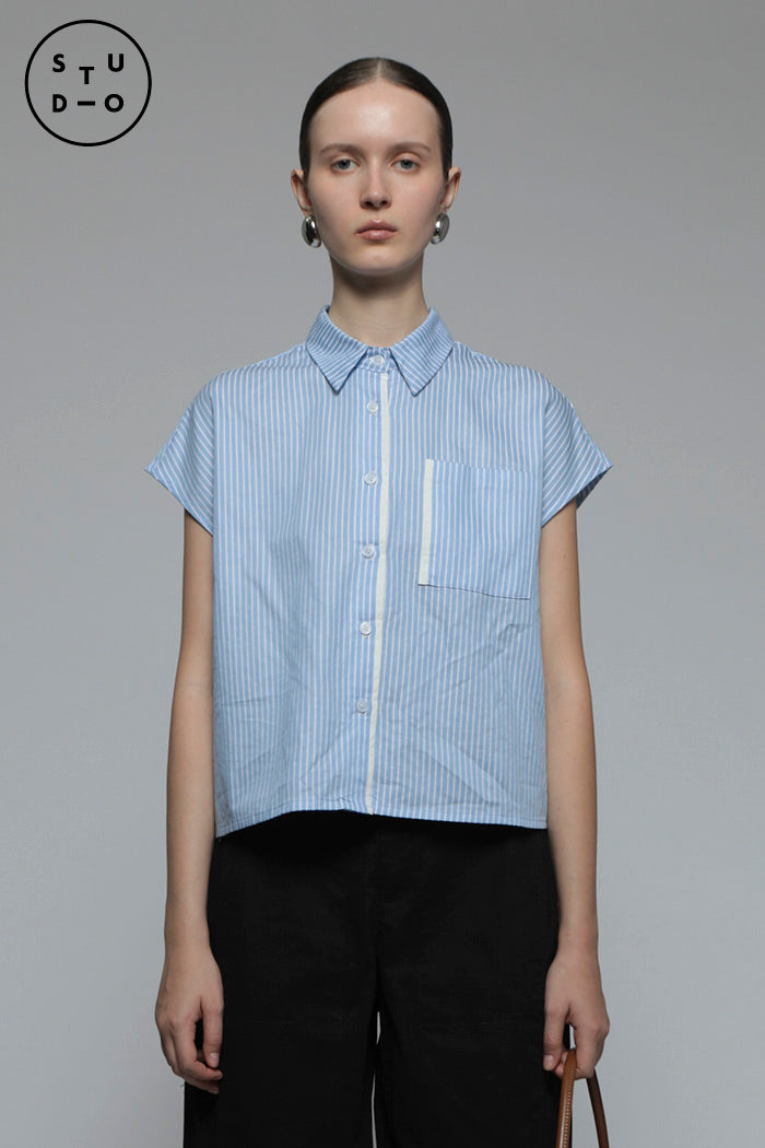 Light Blue Striped Veldt