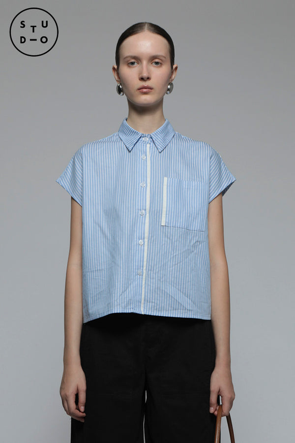 Light Blue Striped Veldt