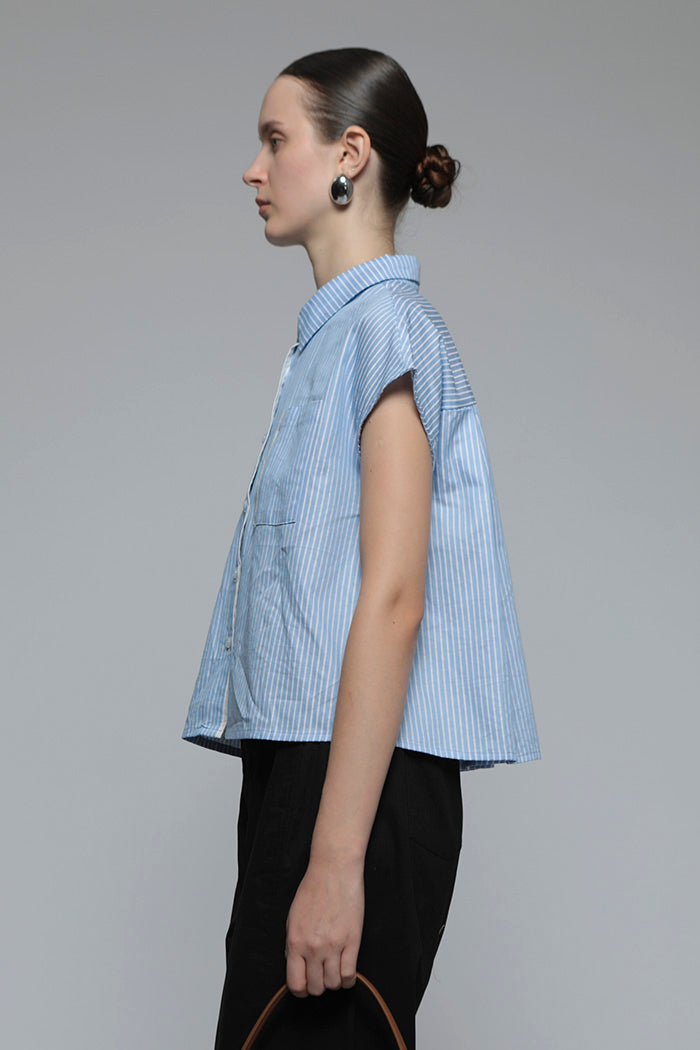 Light Blue Striped Veldt