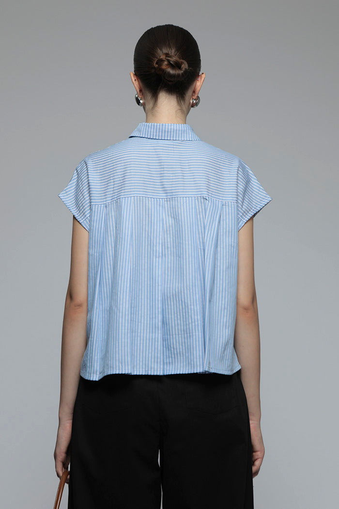 Light Blue Striped Veldt