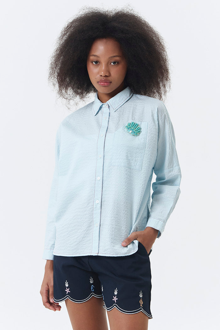 Light Blue Shell Devon