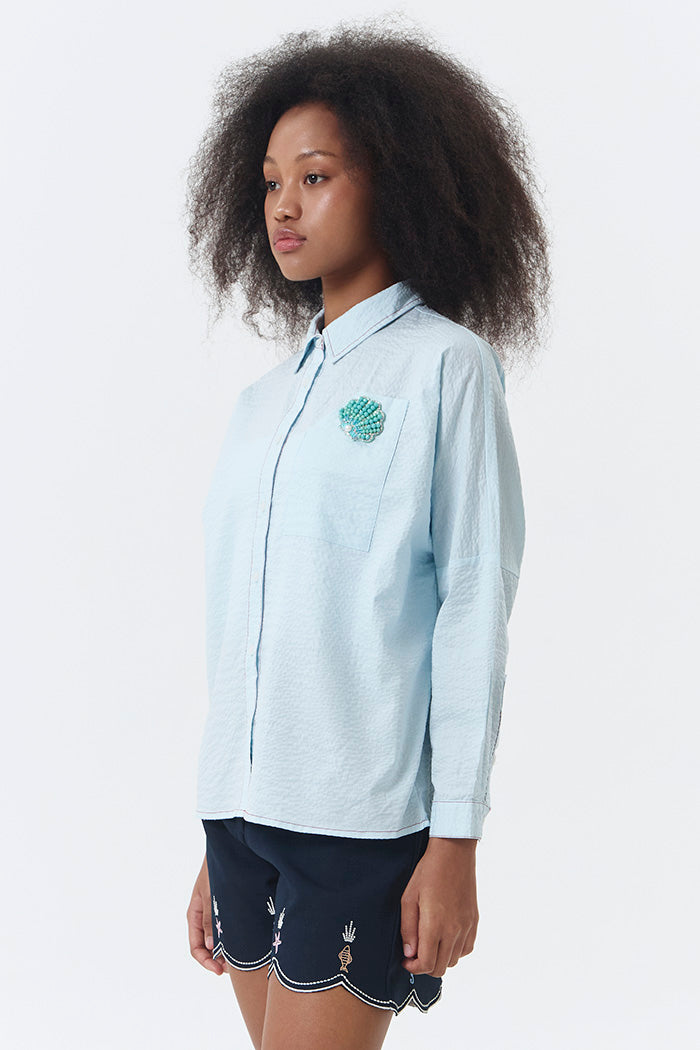 Light Blue Shell Devon