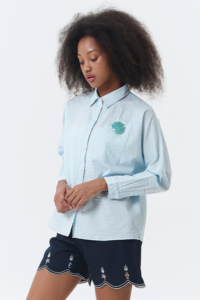 Light Blue Shell Devon