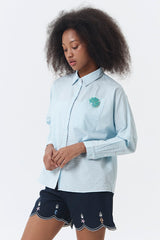 Light Blue Shell Devon
