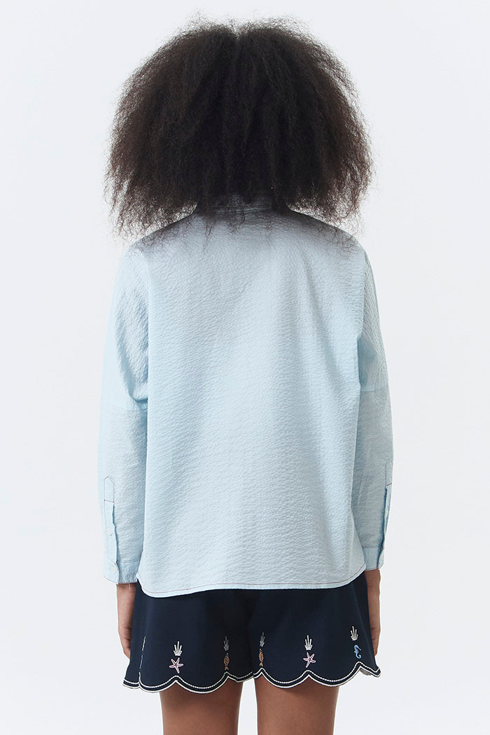 Light Blue Shell Devon