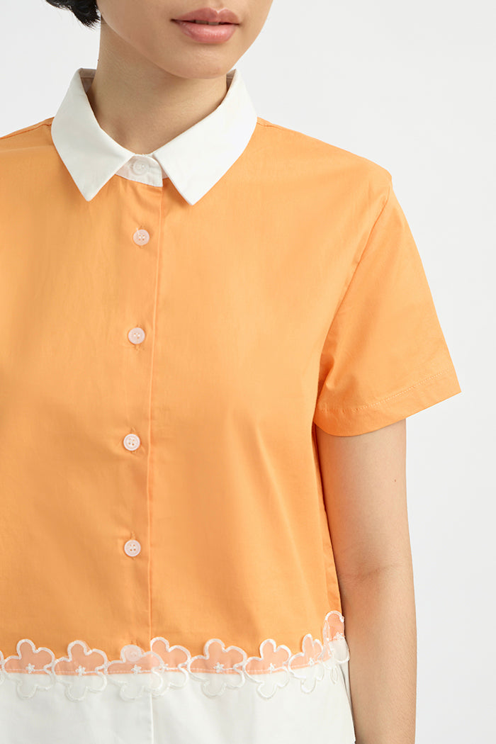 Orange Lucero