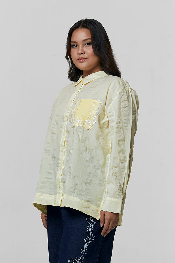 Yellow Osa