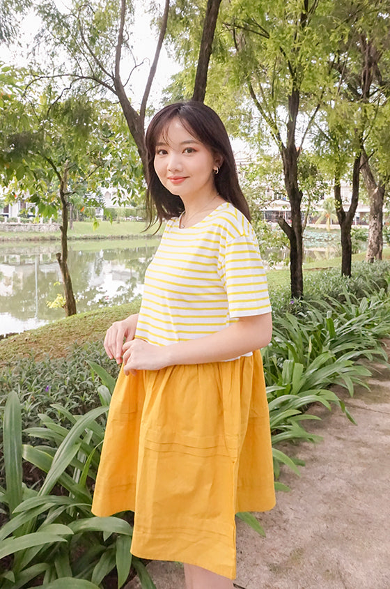 Yellow Striped Pyong Chol