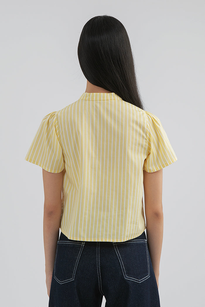Yellow Zweig
